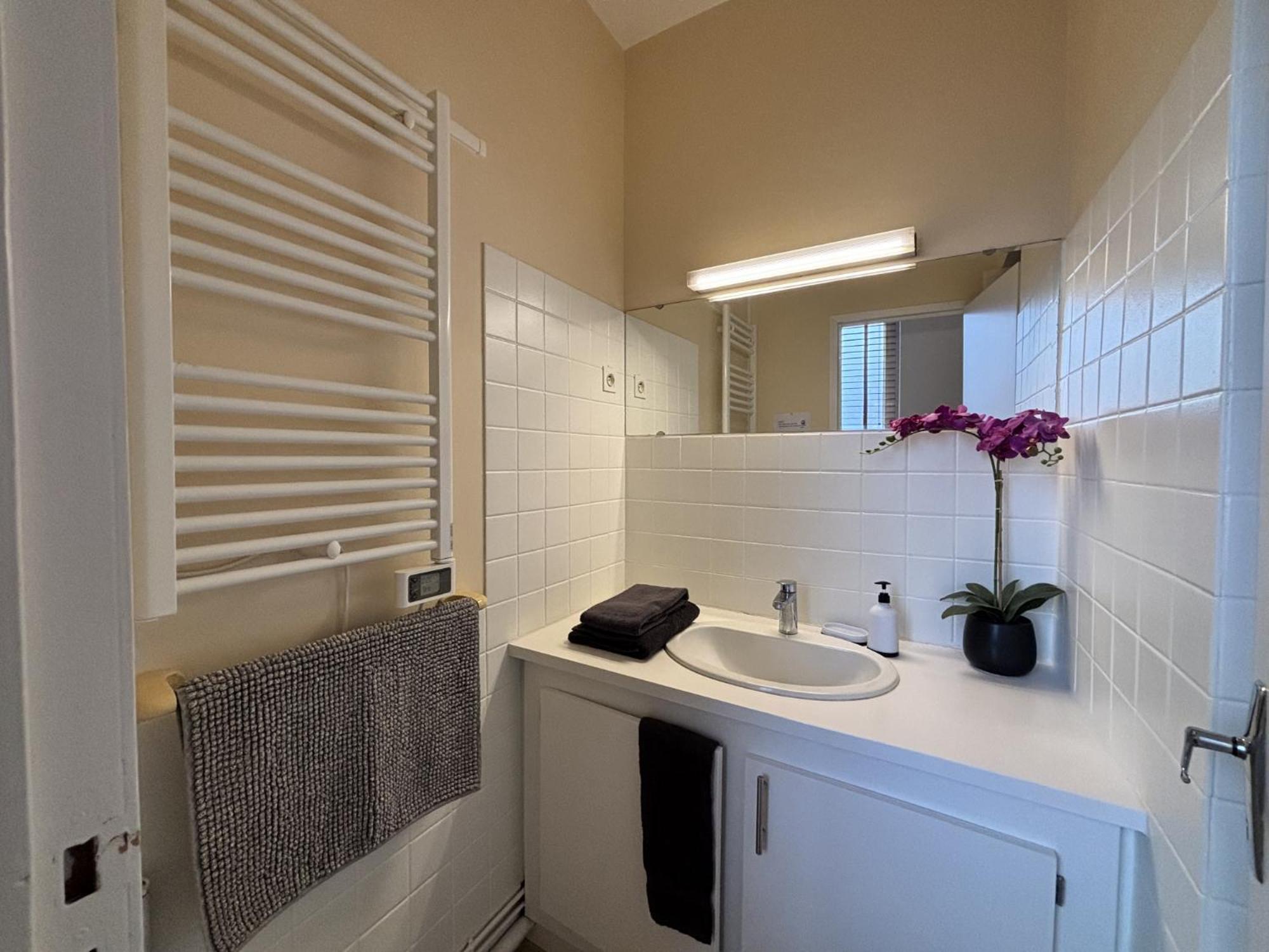 Le Puy De Dome - 1 Chambre - Clim Châtel-Guyon Kültér fotó